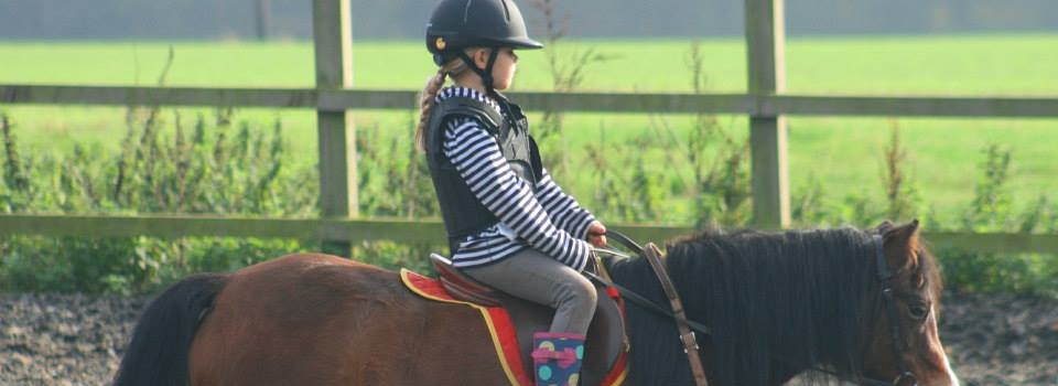 Riding Lessons Lead Rein
